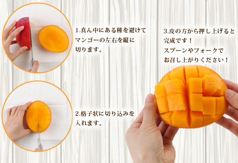 【2026年発送】【先行受付】【ご家庭用】徳之島 天城町産 島マンゴー園 完熟マンゴー 1kg マンゴー フルーツ BA-3-N