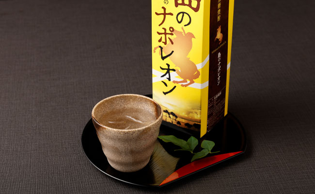 【定期便年12回】黒糖焼酎『島のナポレオン』1800ml×3本セット 計36本 パック