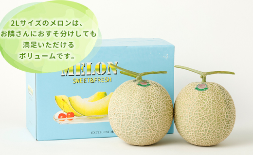 徳之島 天城町 吉川果樹園 アールスメロン 2Lサイズ 2玉 メロン マスクメロン