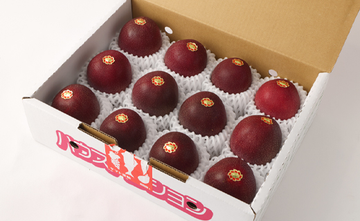  【2026年発送】先行受付 徳之島 天城町 吉川果樹園 パッションフルーツ 贈答用 2kg (1kg×2箱) トロピカルフルーツ フルーツ パッション AB-28-N