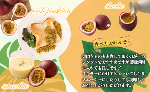 【2026年発送】先行受付 徳之島 天城町 吉川果樹園 パッションフルーツ 家庭用 2kg トロピカルフルーツ フルーツ パッション 自宅用 AB-30-N