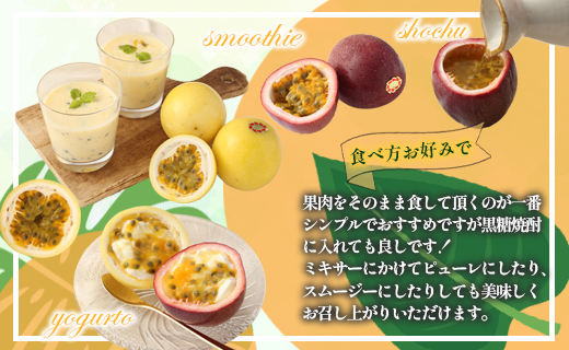 【2026年発送】先行受付 徳之島 天城町産 【贈答用】パッションフルーツ 約1kg（赤黄混合） 吉川果樹園 パッションフルーツ フルーツ 果物 赤 黄 AB-34-N