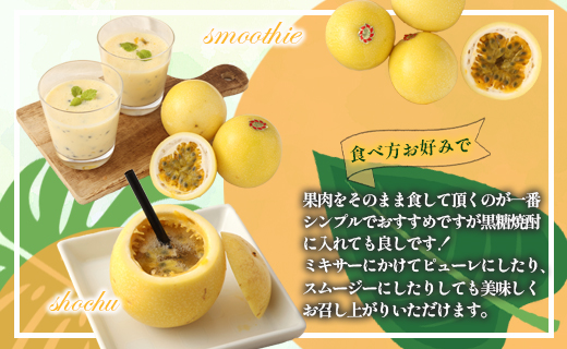 【2026年発送】先行受付 徳之島 天城町産 【家庭用】 イエローパッションフルーツ 約2kg（サイズ混合） 吉川果樹園  パッションフルーツ 混合サイズ イエロー フルーツ 果物 AB-37-N