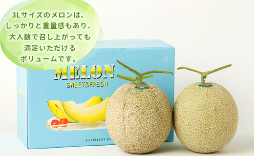 徳之島 天城町 吉川果樹園 アールスメロン 3Lサイズ 2玉 メロン マスクメロン