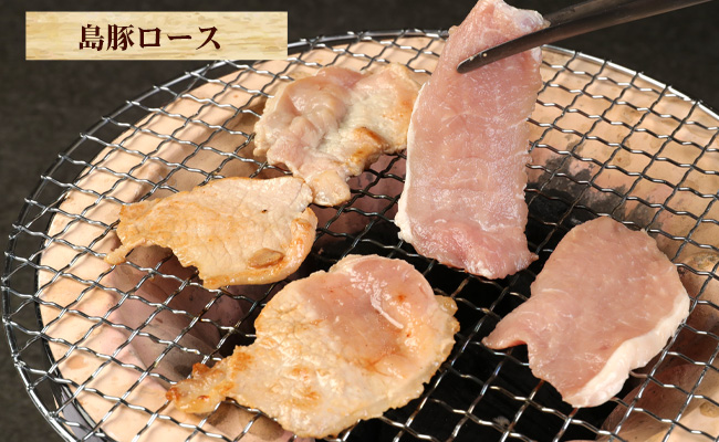 徳之島産 徳之島愛情たっぷり 島豚Bセット【島豚ロース 1.2kg・あんばかしぃ（油かす）600g】計1.8kg 鹿児島県 徳之島 豚肉 AE-16-N