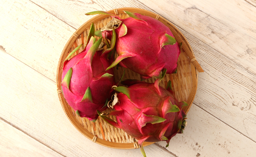 【2026年発送分】ご家庭用 徳之島 天城町産ドラゴンフルーツ 白色 約2kg ピタヤ AJ-35