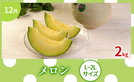 【年5回発送】徳之島 天城町から 島のフルーツ 定期便 タンカン パッションフルーツ マンゴー ドラゴンフルーツ メロン フルーツ AK-63-N