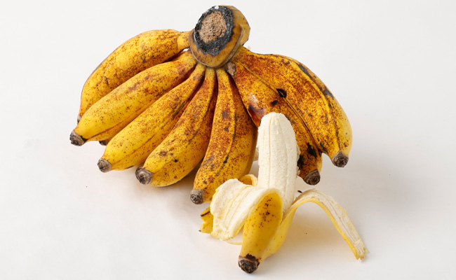 【鹿児島県天城町】【2026年発送】徳之島子宝バナナ 3kg 島バナナ バナナ  AL-10-N