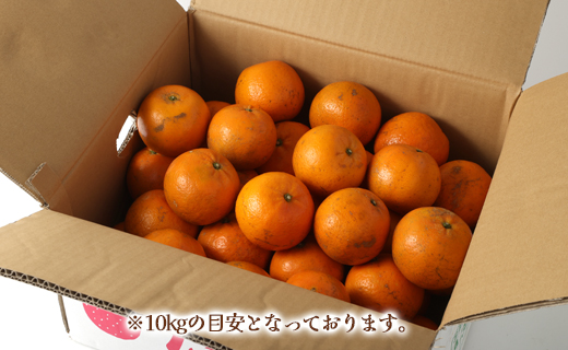 【鹿児島天城町】林果樹園 徳之島産 タンカン【ご家庭用】混合サイズ 10kg 柑橘 タンカン みかん AZ-2-N