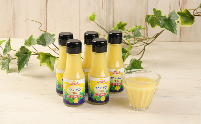 鹿児島県 徳之島 天城町 ヤマ・シークニン シークヮーサー 100％ 果汁 2本（70ml×2） 島みかん