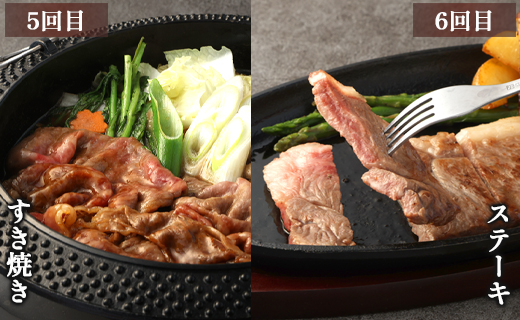 【6回定期便】鹿児島黒牛 バラエティセット 焼肉 すき焼き ステーキ バラスライス 和牛ミンチ ハンバーグ 鹿児島牛 鹿児島黒牛 黒牛 ロース カルビ バラ 冷凍 定期便 6回