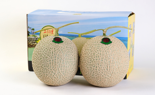 【2024年12月発送】徳之島 天城町産 農家直送 アールスメロン メロン マスクメロン L×2玉 AJ-21-N