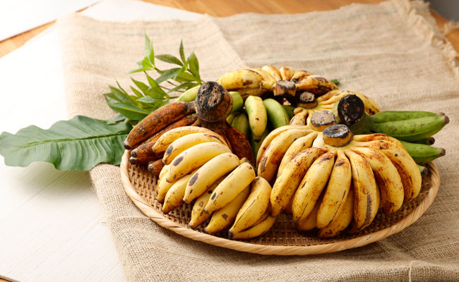 【鹿児島県天城町】【2026年発送】徳之島子宝バナナ 3kg 島バナナ バナナ  AL-10-N