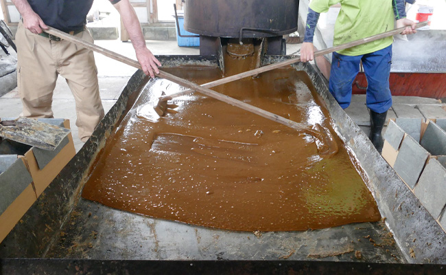 【数量限定】【期間限定】徳之島 天城町産 平山製糖 純黒糖 新糖 1kg 200g×5袋 黒糖 黒砂糖