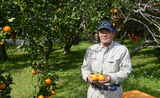 【鹿児島天城町】林果樹園 徳之島産 タンカン【ご家庭用】混合サイズ 5kg 柑橘 タンカン みかん AZ-1-N