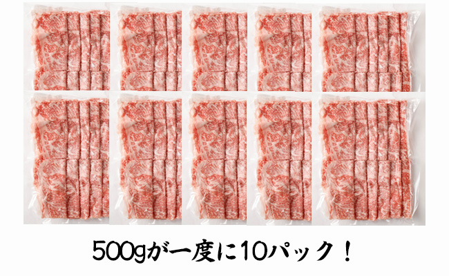 【 特選 黒毛和牛 】 ロース すき焼き 肉 5kg 和牛 黒牛 牛肉 鹿児島県 天城町 Z-23