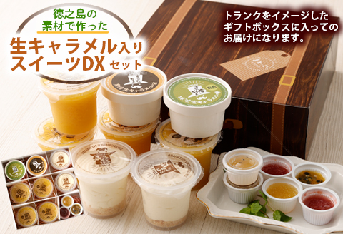 徳之島の素材で作った 生キャラメル入りスイーツDXセット シークニン ゼリー 詰め合わせ デザート W-11-N