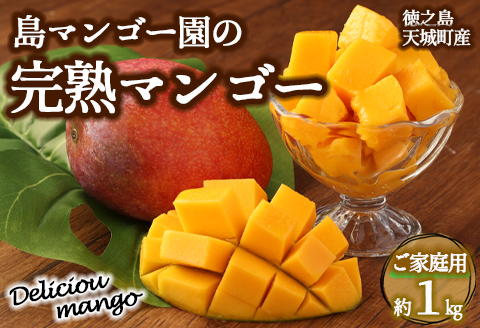 【2026年発送】【先行受付】【ご家庭用】徳之島 天城町産 島マンゴー園 完熟マンゴー 1kg マンゴー フルーツ BA-3-N