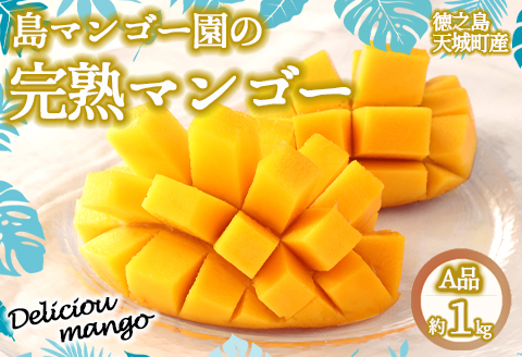 【2026年発送】【先行受付】徳之島 天城町【贈答用】島マンゴー園 完熟マンゴー Ａ品 1kg マンゴー フルーツ BA-1-N