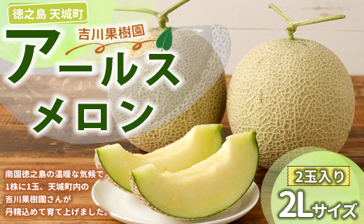 徳之島 天城町 吉川果樹園 アールスメロン 2Lサイズ 2玉 メロン マスクメロン