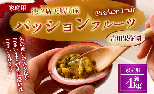  【2026年発送】先行受付 徳之島 天城町 吉川果樹園 パッションフルーツ 家庭用 4kg トロピカルフルーツ フルーツ パッション 自宅用 AB-32-N