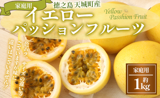 【2026年発送】先行受付 徳之島 天城町産 【家庭用】吉川果樹園 イエローパッションフルーツ 約1kg（サイズ混合） パッションフルーツ 混合サイズ イエロー フルーツ 果物 AB-36-N