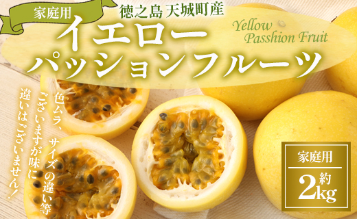 【2026年発送】先行受付 徳之島 天城町産 【家庭用】 イエローパッションフルーツ 約2kg（サイズ混合） 吉川果樹園  パッションフルーツ 混合サイズ イエロー フルーツ 果物 AB-37-N