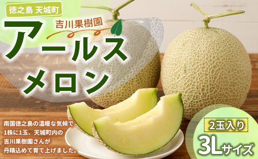 徳之島 天城町 吉川果樹園 アールスメロン 3Lサイズ 2玉 メロン マスクメロン