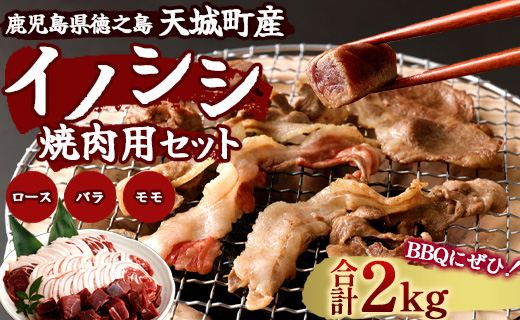 【鹿児島徳之島】イノシシ 焼肉用 セット2kg ジビエ ロース サイコロ バラ