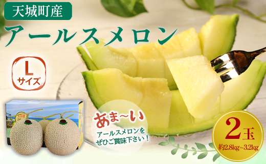 【2024年12月発送】徳之島 天城町産 農家直送 アールスメロン メロン マスクメロン L×2玉 AJ-21-N