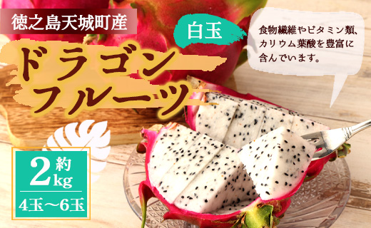 【2026年発送分】ご家庭用 徳之島 天城町産ドラゴンフルーツ 白色 約2kg ピタヤ AJ-35