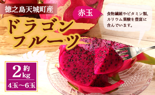 【2026年発送分】ご家庭用 徳之島 天城町産ドラゴンフルーツ 赤色 約2kg ピタヤ AJ-4-N