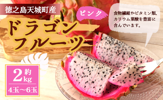 【2026年発送分】鹿児島県 徳之島 天城町産 ピンク ドラゴンフルーツ 約2kg トロピカルフルーツ ピタヤ AJ-5-N