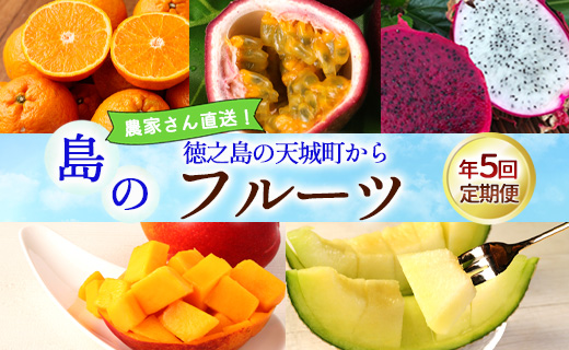 【年5回発送】徳之島 天城町から 島のフルーツ 定期便 タンカン パッションフルーツ マンゴー ドラゴンフルーツ メロン フルーツ AK-63-N