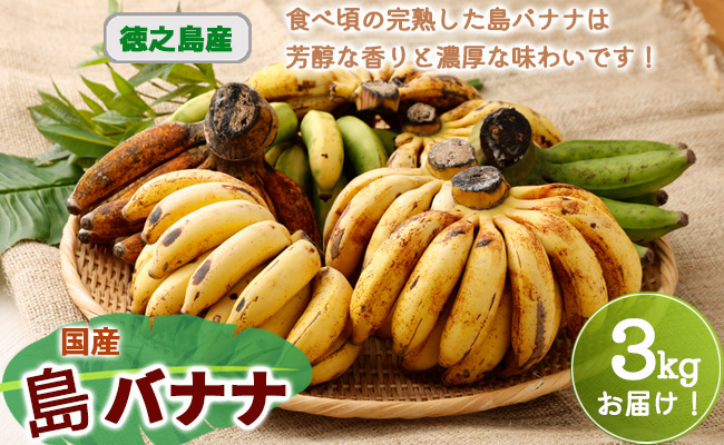 【鹿児島県天城町】【2026年発送】徳之島子宝バナナ 3kg 島バナナ バナナ  AL-10-N