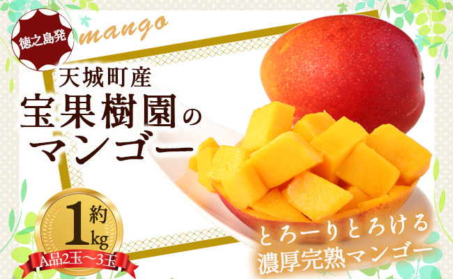 【2026年発送】【先行受付】徳之島 天城町産 宝果樹園 完熟マンゴー A品 1kg 贈答用 マンゴー AT-19-N