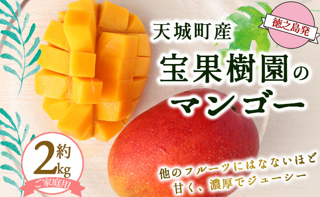 【2026年発送】【先行受付】徳之島 天城町産 宝果樹園 完熟マンゴー ご家庭用 2kg マンゴー AT-22-N