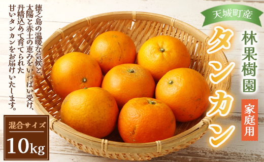 【鹿児島天城町】林果樹園 徳之島産 タンカン【ご家庭用】混合サイズ 10kg 柑橘 タンカン みかん AZ-2-N