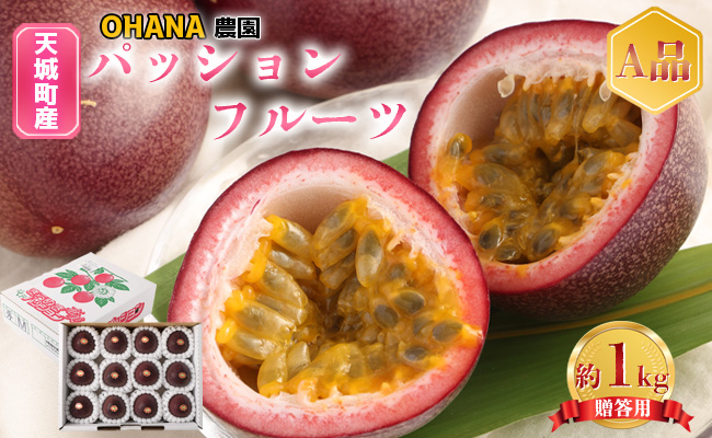 【2025年発送】先行受付 徳之島 天城町 パッションフルーツ1kg(贈答用) OHANA農園  フルーツ パッション BO-1-N