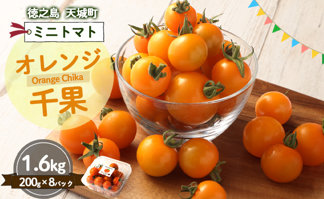 徳之島 天城町産 ミニトマト 200g×8パック 合計1.6kg オレンジ千果 トマト