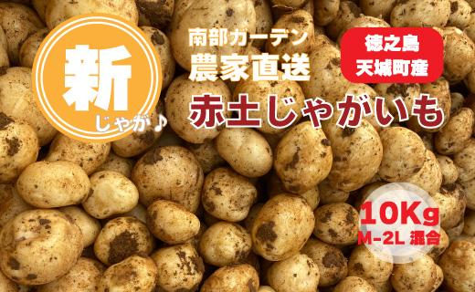 【新じゃが】徳之島 天城町産 赤土じゃがいも 10kg M～2L 混合サイズ 南部ガーデン ジャガイモ ばれいしょ バレイショ CB-6