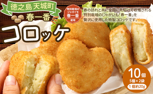 徳之島 春一番 コロッケ 10個 セット （5個×2袋） 1個当たり約60g 計約600g じゃがいも 惣菜 おかず 冷凍 鹿児島 天城町