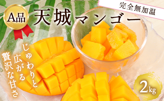 【2026年発送】【先行受付】徳之島 天城町産 完全無加温 完熟 マンゴー Ａ品 2kg 贈答