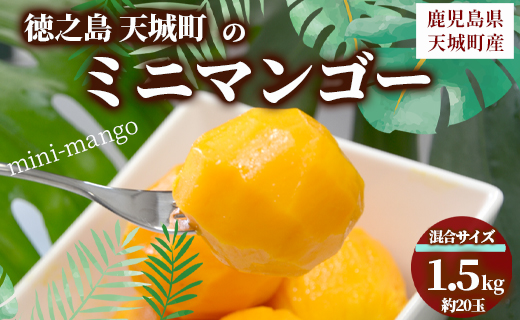 【数量限定】【ご家庭用】徳之島 天城町産 ミニマンゴー 1.5kg マンゴー フルーツ P-21