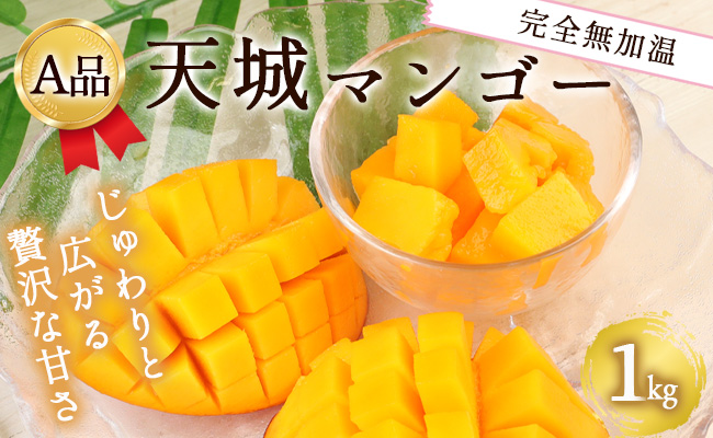 【2026年発送】【先行受付】徳之島 天城町産 完全無加温 完熟 マンゴー Ａ品 1kg 贈答