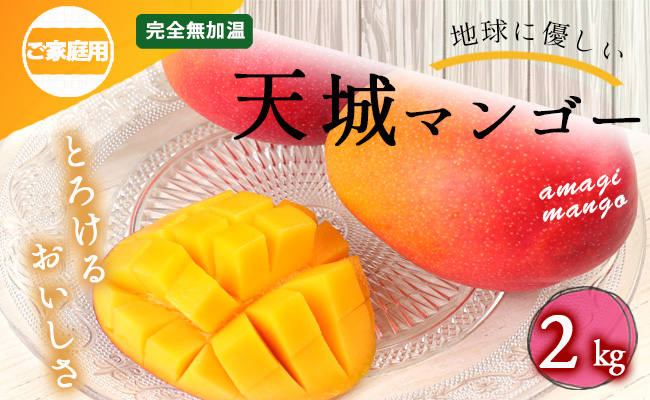 【2026年発送】【先行受付】徳之島 天城町産 完全無加温 完熟 マンゴー 家庭用 2kg