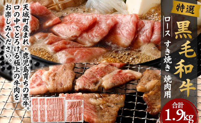 特選 黒毛和牛 ロース すき焼き＆焼肉セット 計1.9kg（すき焼き用 500g×3・焼肉用 400g）国産 牛肉 Z-2