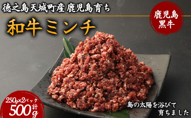 徳之島 天城町産 鹿児島育ち 鹿児島黒毛和牛 ミンチ 500g 250g×2パック
