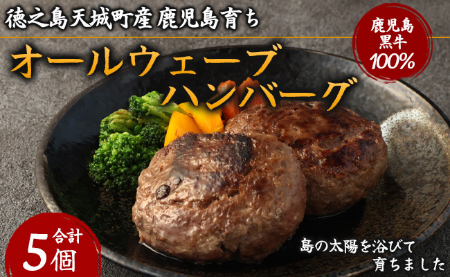 徳之島 天城町産 鹿児島育ち 鹿児島黒牛 オールウェーブハンバーグ 5個 和牛100%