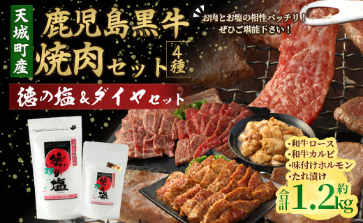 鹿児島 黒牛 焼肉 セット（ 4種 盛り ） 計約1.2kg 徳の塩 ・ ダイヤ セット 計約230g 総計約1.43kg 【セット】 天城町産 鹿児島育ち 黒毛和牛 和牛ロース 和牛カルビ 国産 鹿児島県 天城町